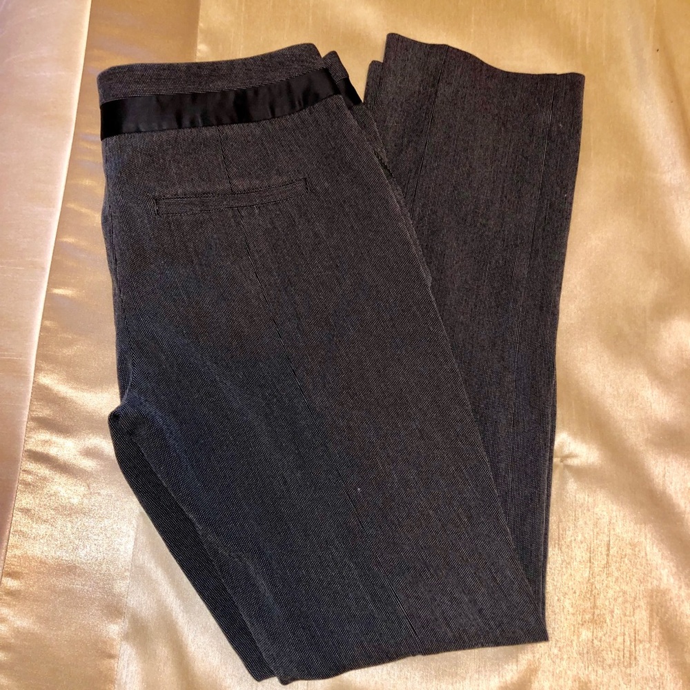 Express Columnist Pants